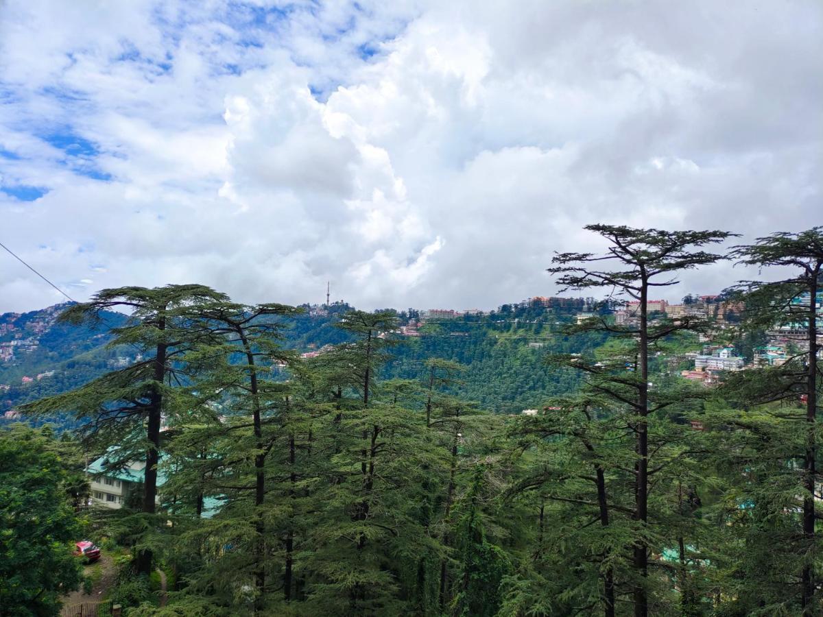 Magic Stays - Shimla Royale - Free Pickup From Railway Station Shimla Exterior foto